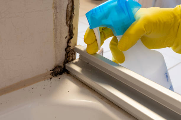 Mold Remediation for Vacation Homes in Syracuse, UT